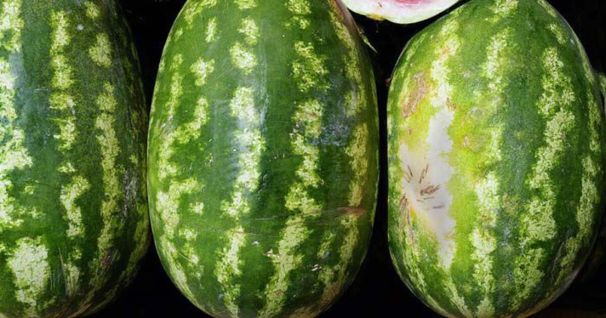 Monticello Watermelon Festival celebrates 75 years this weekend