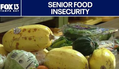 Food insecurity in seniors | FOX 13 Tampa Bay