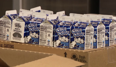 Families feeling grocery pinch can get free weekly meal boxes for kids in Ruskin