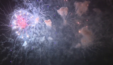 Safety Harbor fireworks staying at Waterfront Park after wildlife concerns