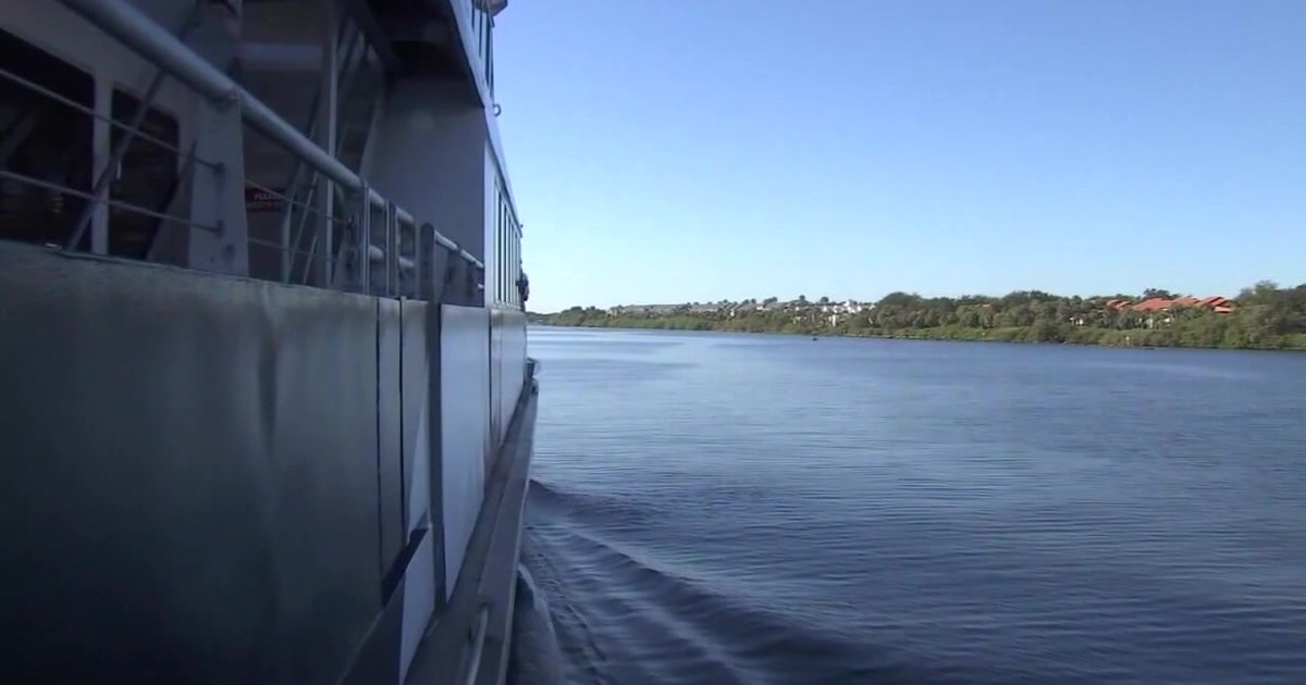 Is Tampa Bay ferry service returning? New boats, local operator secured for Bay Area