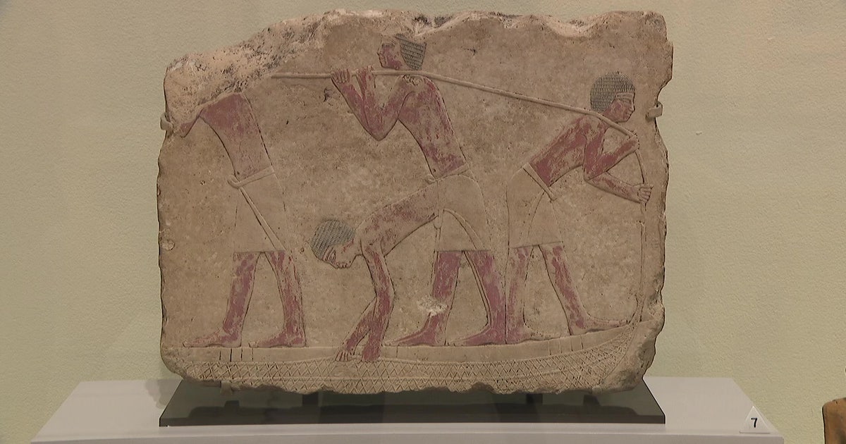 Ancient Egyptian mummies and pharaoh sculptures arrive at Tampa Museum of Art