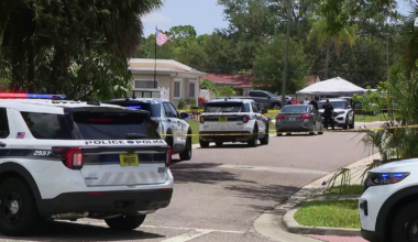 1 dead after officer involved shooting in St. Pete: SPPD