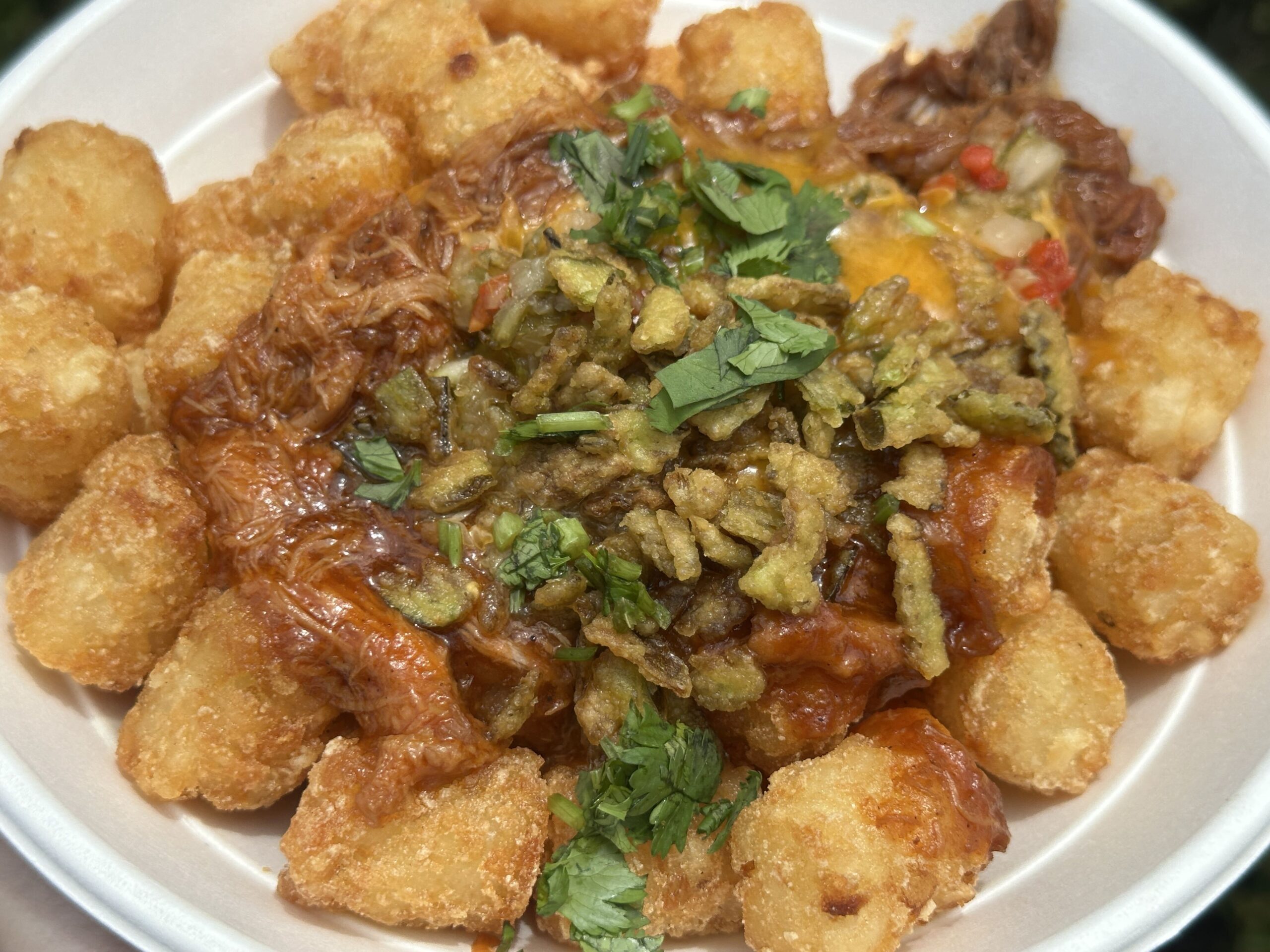 A new Barbecue Pork Tot Bowl is available at Friar's Nook in Fantasyland, and it's a welcome addition to the park.