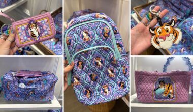 Full List (with Prices) of Jasmine Vera Bradley Collection at Disney Springs & Online