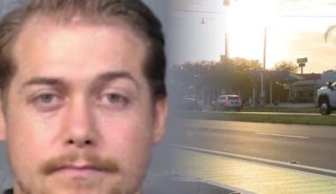 Florida man accused of posing as attorney during traffic stop