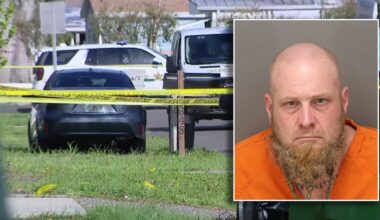 Suspect arrested after man found dead at Pinellas Park business: PCSO
