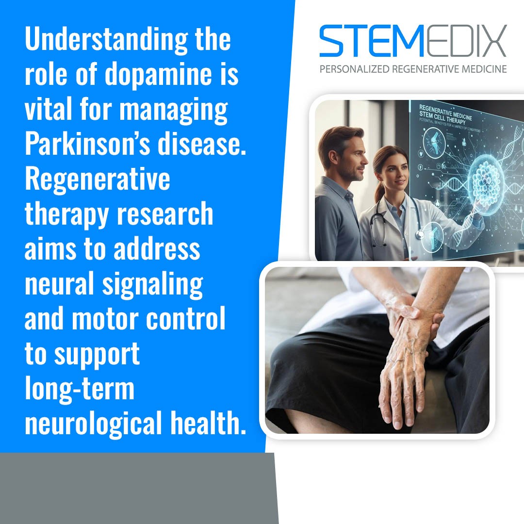Stemedix 1 v2.jpg