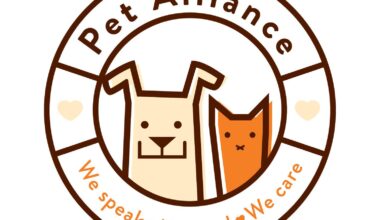 Pet Alliance Launches Public Meeting Space With Adoptable Pet “Cuddle Time”