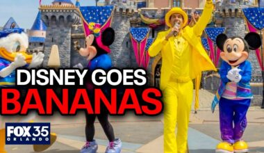 Banana Ball founder on the future of Walt Disney World