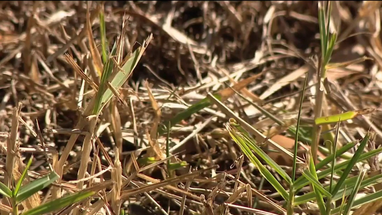 Water restrictions extended until October