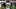 Dec 31, 2025; Arlington, TX, USA; Miami Hurricanes defensive back Bryce Fitzgerald (13) walks off the field after the 2025 Co Dec 31, 2025; Arlington, TX, USA; Miami Hurricanes defensive back Bryce Fitzgerald (13) walks off the field after the 2025 Co