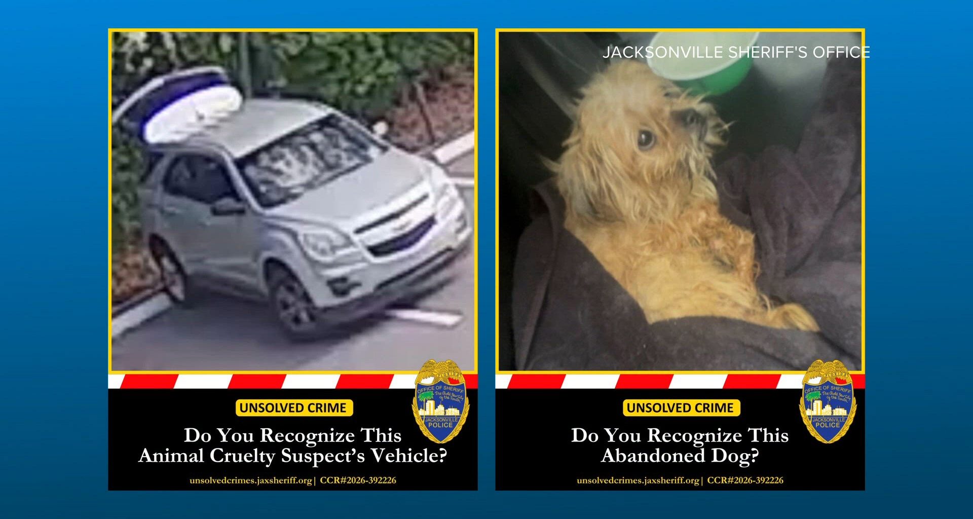 Jacksonville police searching for owner of abandoned dog found 'extremely malnourished'