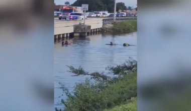 Car crashes into canal in Hialeah; first responders race to rescue lives - WSVN 7News | Miami News, Weather, Sports
