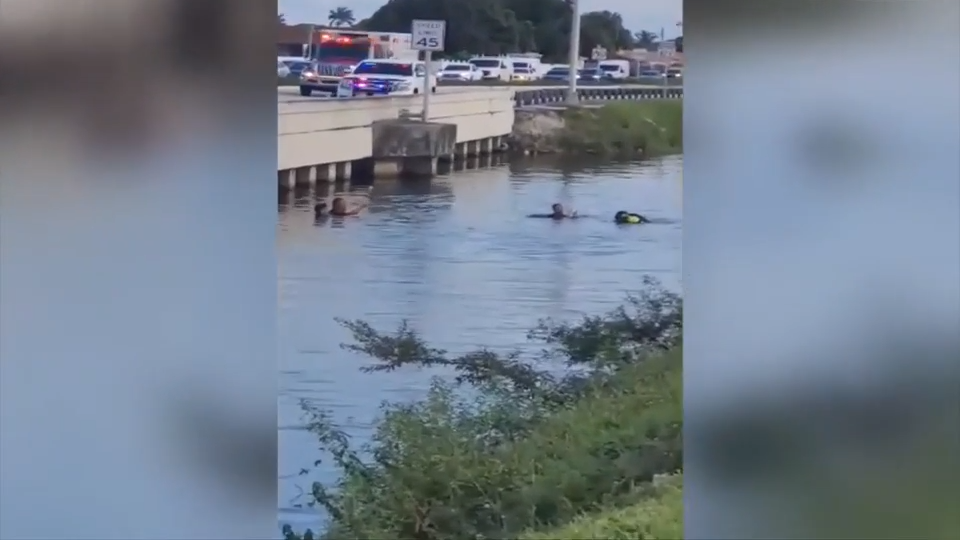 Car crashes into canal in Hialeah; first responders race to rescue lives - WSVN 7News | Miami News, Weather, Sports