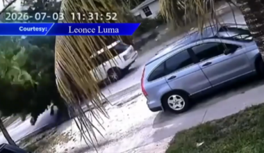Man hospitalized after lightning knocks tree down onto car in North Miami - WSVN 7News | Miami News, Weather, Sports
