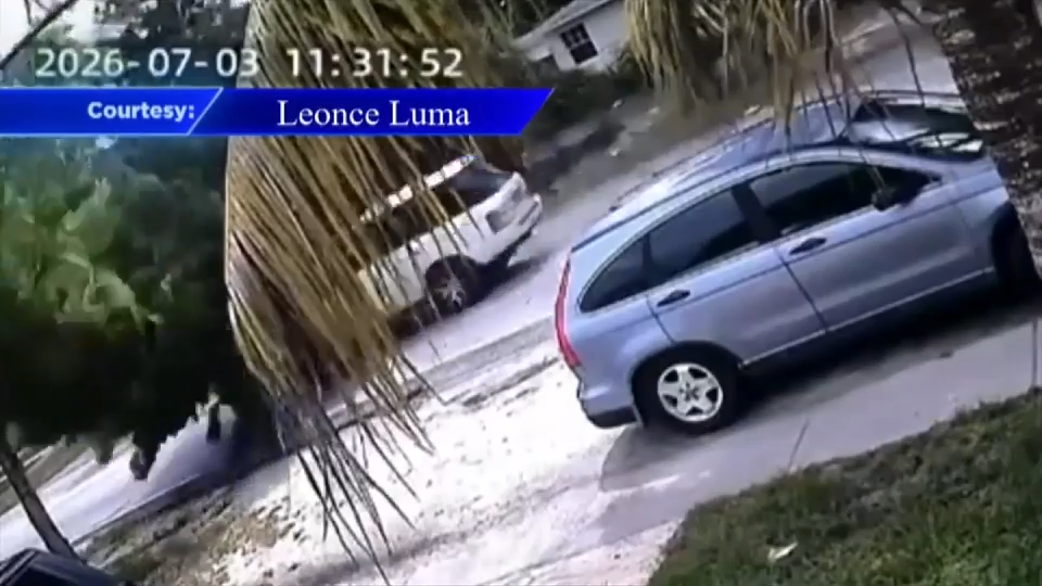 Man hospitalized after lightning knocks tree down onto car in North Miami - WSVN 7News | Miami News, Weather, Sports