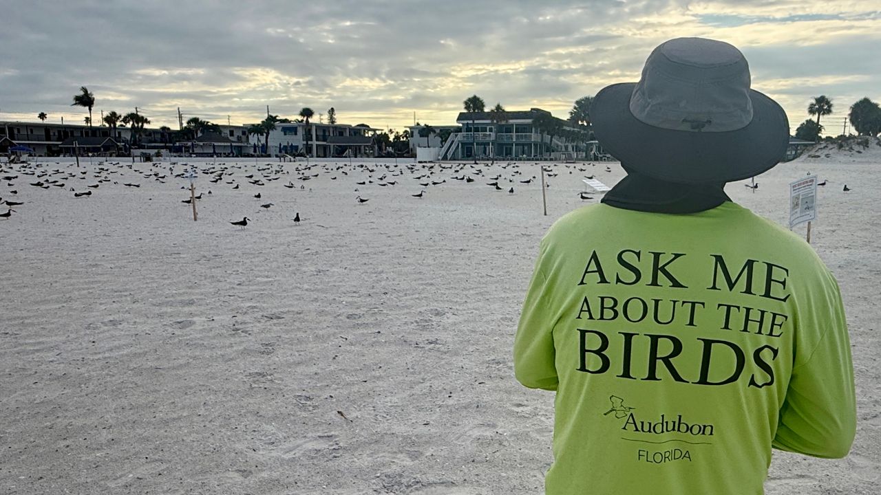 Sharing the shore with our feathered friends