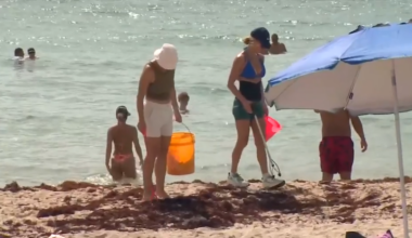 Surfrider Foundation leads beach cleanup effort in Miami Beach to tackle pollution post-Independence Day - WSVN 7News | Miami News, Weather, Sports