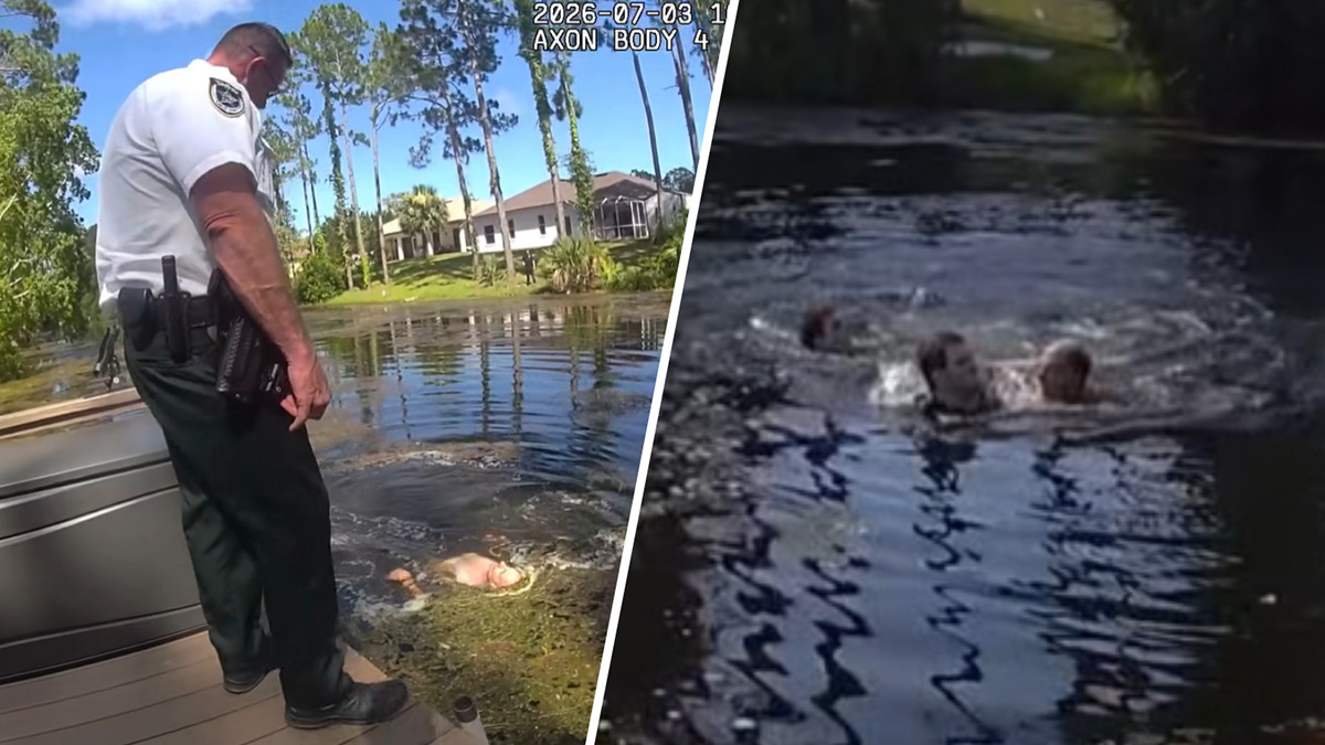 Video shows man attack Florida deputies in snake-and-gator-infested canal, sheriff says – NBC 6 South Florida