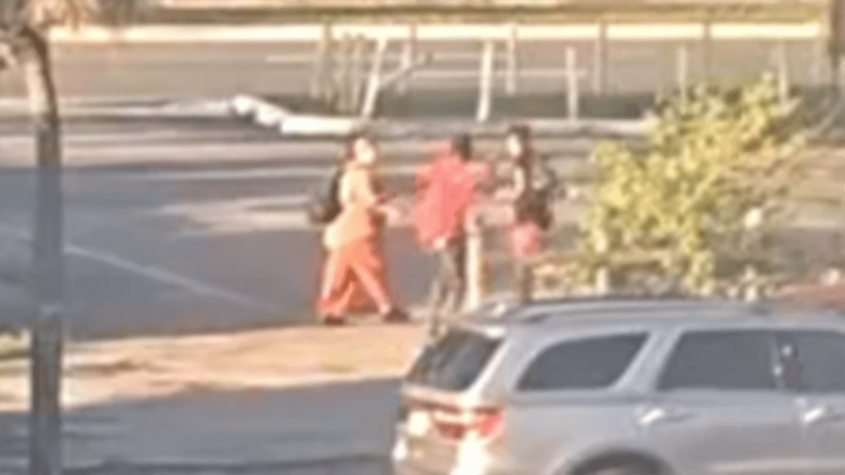 Video shows mother and son being attacked by stranger in Fort Lauderdale – NBC 6 South Florida