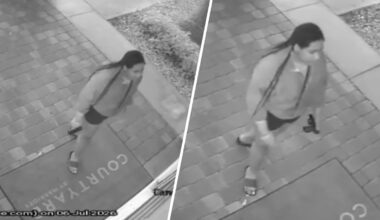 Woman wanted in attempted armed carjacking in Dania Beach, BSO says – NBC 6 South Florida