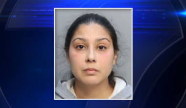 Mother chains daughter to fence in Hialeah to relax and watch TV after being fired from job, police say - WSVN 7News | Miami News, Weather, Sports