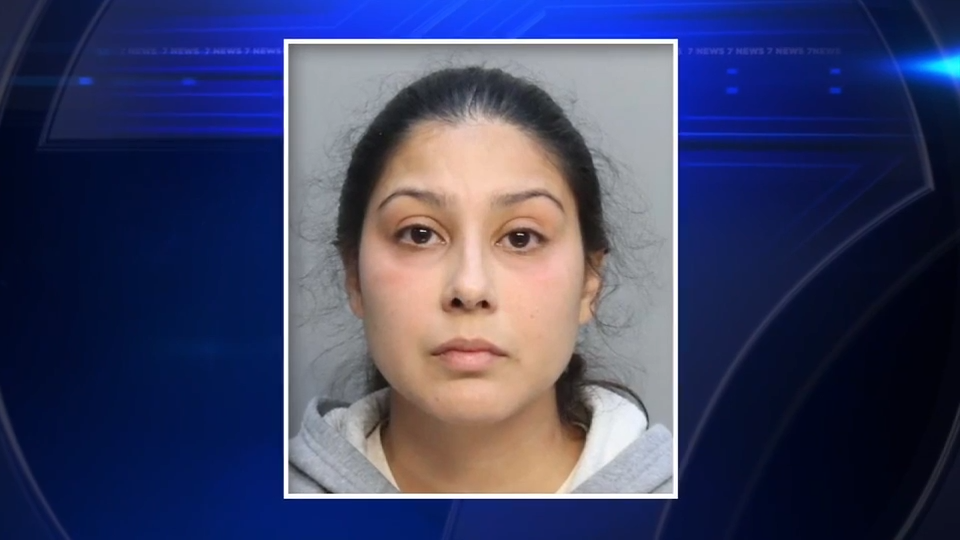 Mother chains daughter to fence in Hialeah to relax and watch TV after being fired from job, police say - WSVN 7News | Miami News, Weather, Sports