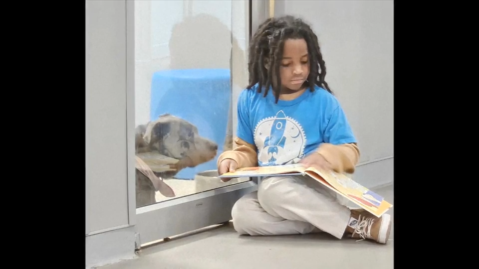 11-year-old boy reads to dogs waiting to be adopted at Jacksonville Humane Society - WSVN 7News | Miami News, Weather, Sports