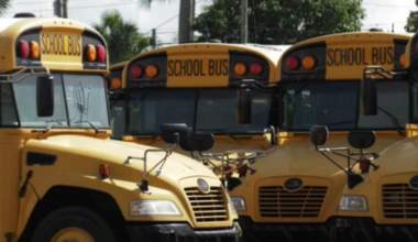 Broward County schools launch new school bus camera program for stop-arm violations - WSVN 7News | Miami News, Weather, Sports