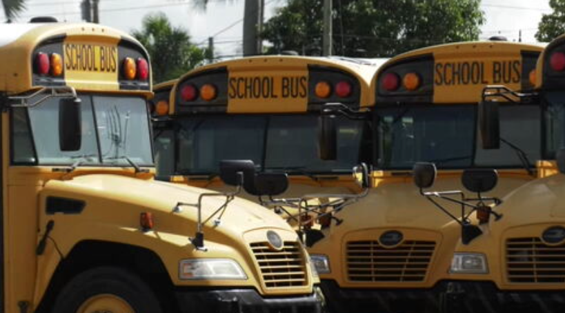 Broward County schools launch new school bus camera program for stop-arm violations - WSVN 7News | Miami News, Weather, Sports