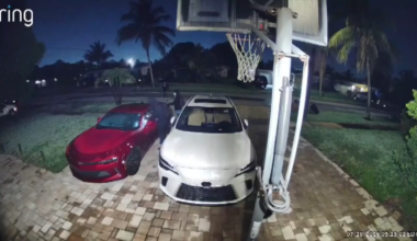 Masked thieves steal cash and valuables from ‘around 20’ vehicles in Lauderhill, triggering search for 4 - WSVN 7News | Miami News, Weather, Sports