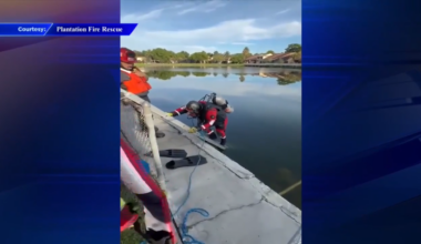 Missing 76-year-old man found dead in Plantation lake - WSVN 7News | Miami News, Weather, Sports
