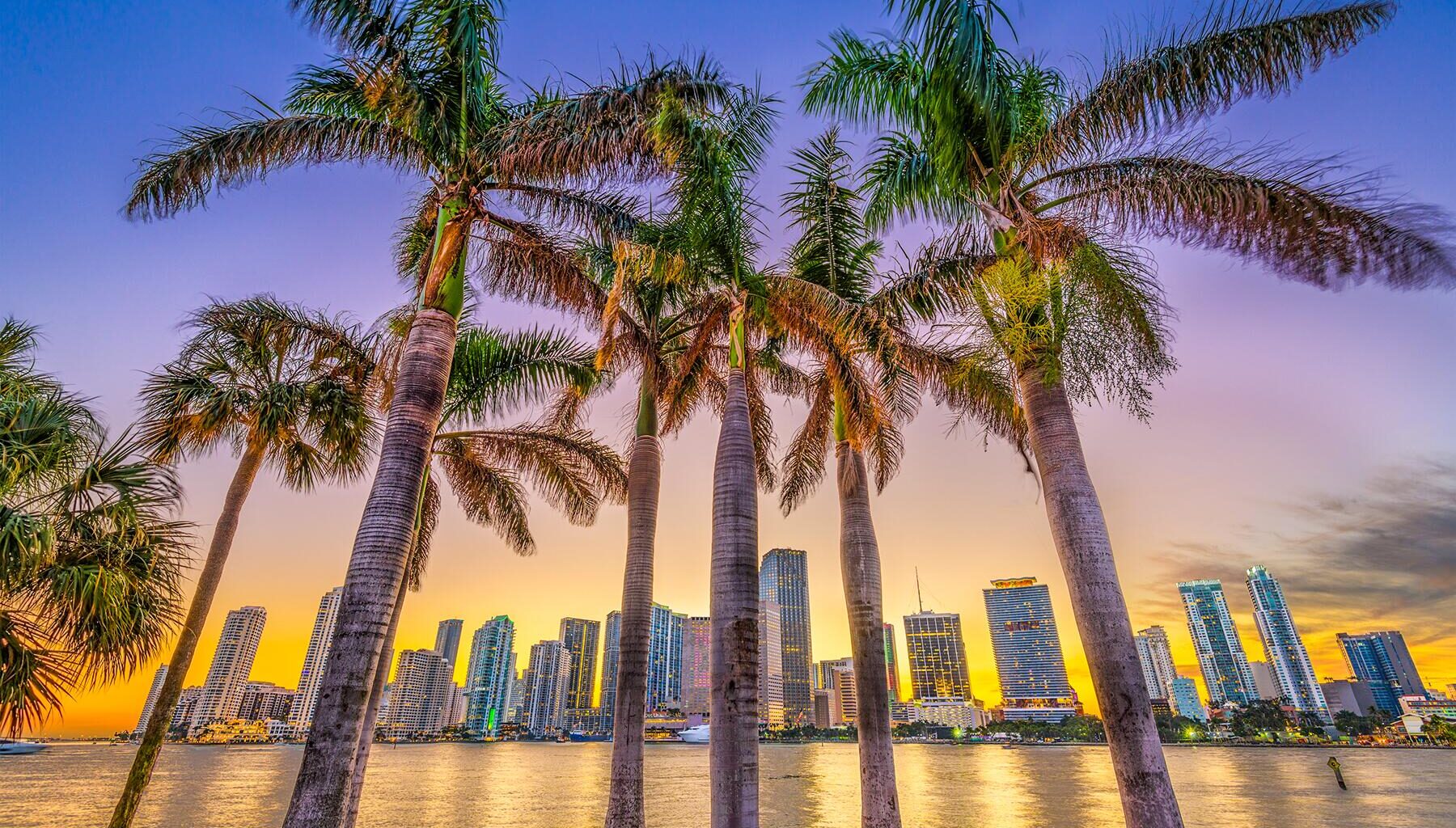 How to Spend a Perfect Day in Miami, Florida