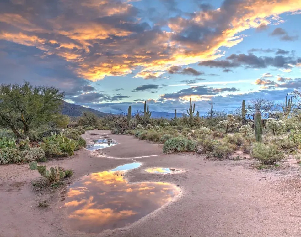 5. Tucson, Arizona (Image Credits: Unsplash)