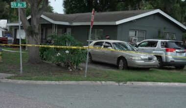 86-year-old man, dog killed in St. Petersburg