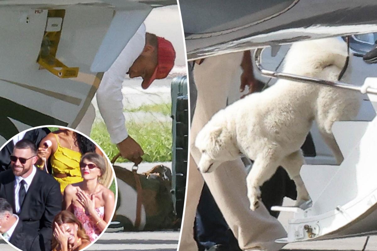 Taylor Swift and Travis Kelce's mystery dog makes big debut while touching down in Florida