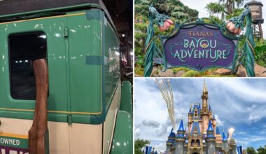 Disney World ride ripped over 'embarrassing' feature