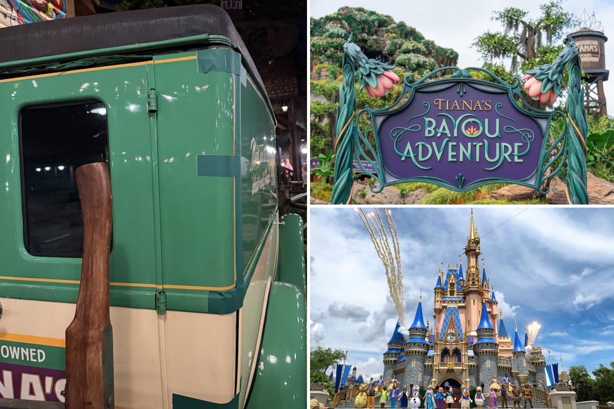 Disney World ride ripped over 'embarrassing' feature