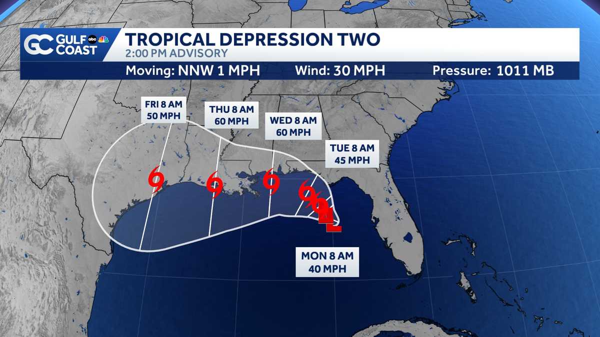 Tropical Depression Two formed in the Gulf Sunday morning