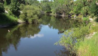 Family, friends remember Orlando woman killed in alligator attack in Seminole County