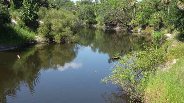 Family, friends remember Orlando woman killed in alligator attack in Seminole County