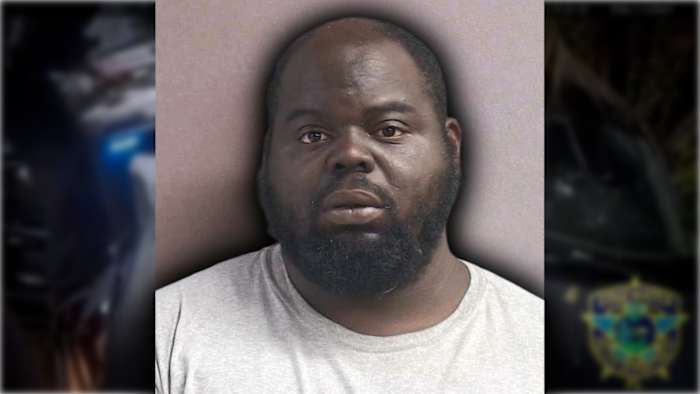 VIDEO: Police stop fleeing Central Florida burglary suspect after pursuit