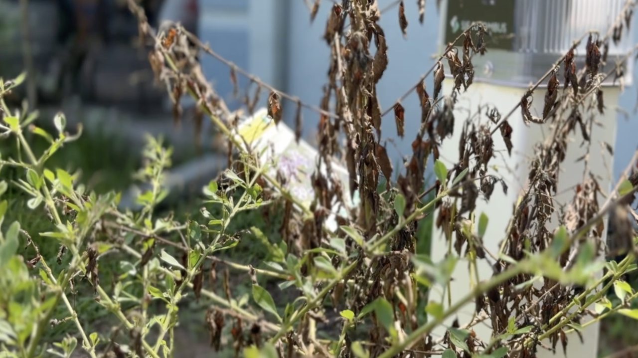 Water restrictions extended through October across Tampa Bay area despite rainy season4.png