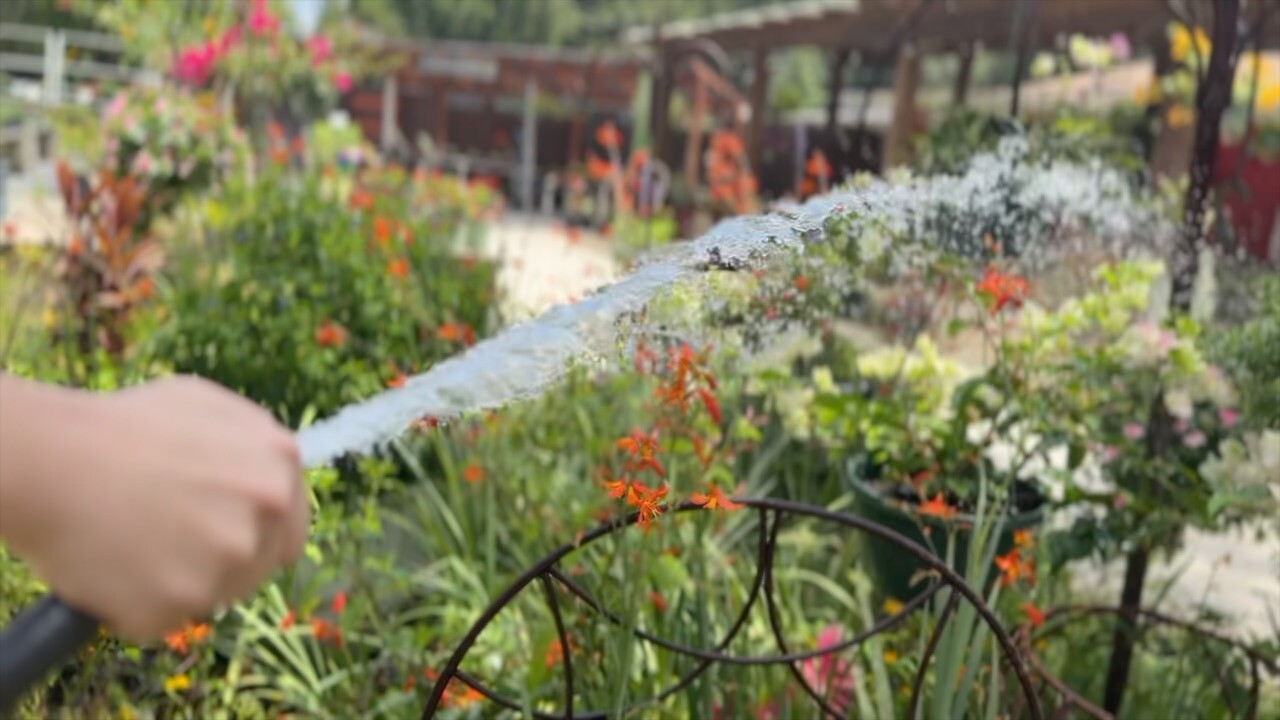 water 1.jpg
