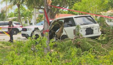 Man rushed to hospital after tree falls on Range Rover ‘due to severe weather’ in North Miami