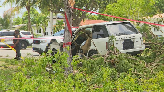 Man rushed to hospital after tree falls on Range Rover ‘due to severe weather’ in North Miami