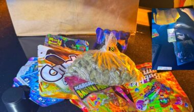 Grady County deputies arrest Florida woman on drug distribution charge
