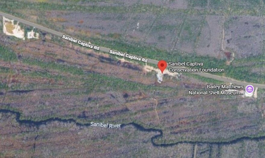 Marsh burn area, SCCF