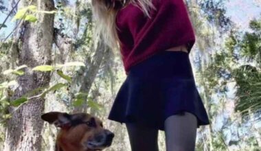 Florida alligator pulled woman underwater in ‘death roll’ during deadly attack, medical examiner says